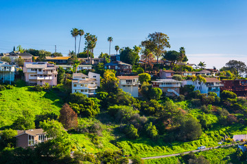 View of houses of a hillside in Laguna Beach, California. - Powered by Adobe