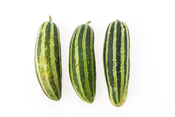 Cucumber
