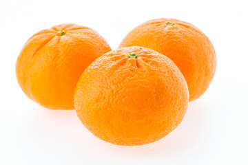 Orange fruit