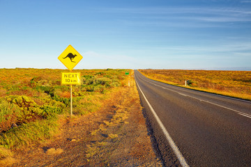 Great Ocean Road. Sign of kangaroos, Australia