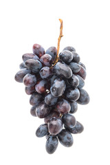 Grape isolated