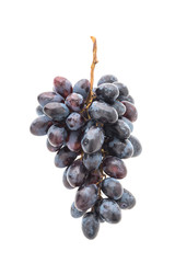 Grape isolated