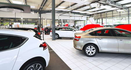 cars in a showroom of a car dealer // Verkaufsraum Autohaus - obrazy, fototapety, plakaty