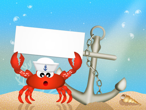 sailor crab