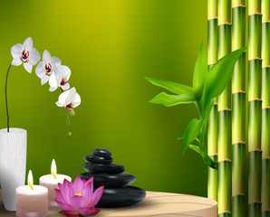 Fototapeta na wymiar Bamboo, flower, stone, wax on the table. vector