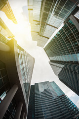 Obraz premium Modern glass silhouettes of skyscrapers in the city