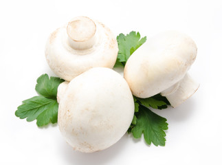 Champignon mushroom white agaricus