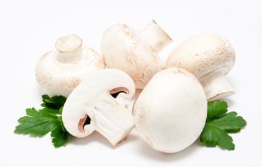 Champignon mushroom white agaricus