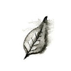 black ink leaf, vector