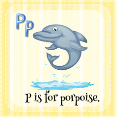 Porpoise