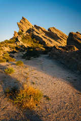 Plants and rocks at Vasquez Rocks County Park, in Agua Dulce, Ca