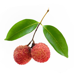 Fresh Lychee