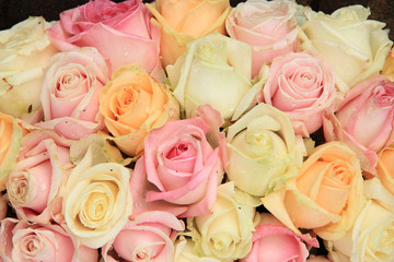 Pastel roses in a wedding arrangement