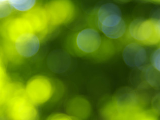 green bokeh