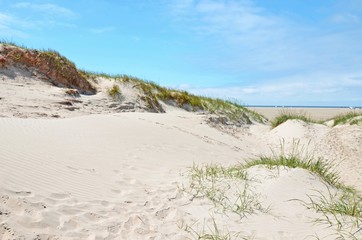 Dünenlandschaft der Nordseeinsel Rømø, Lakolk Strand, Dänemark