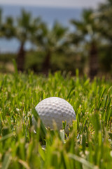 golf ball