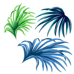 Fototapeta na wymiar set of vector palm leaves