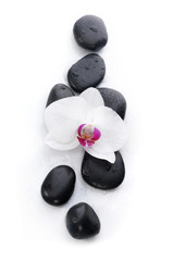 White orchid and spa stones 