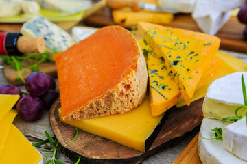 Cheese - different types of cheese on a wooden table