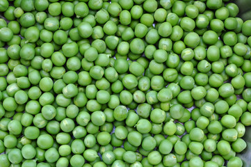 Green peas background