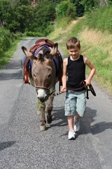 Foto op Canvas boy and donkey © into the wild