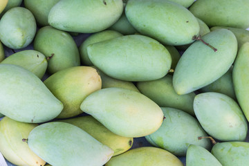 Fresh Green mango 