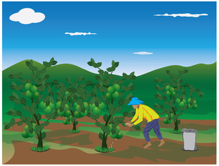 agriculturist manure lime plant vector design