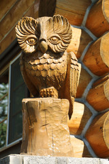owl