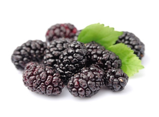 Ripe mulberry with leafs