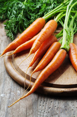 Concept of healthy vegan eating