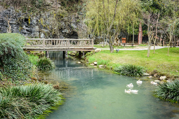 Beautiful part of chinese garden