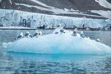 Arctic spring in south Spitsbergen © KrisGrabiec