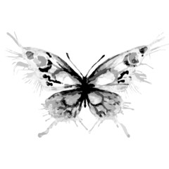 butterflies design