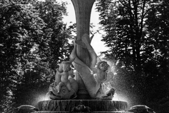 Silhouette of a fountain in the Retiro Park, Madrid
