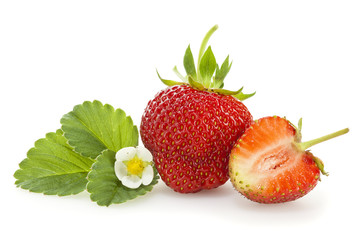 Strawberry, leaf and blossom isolated