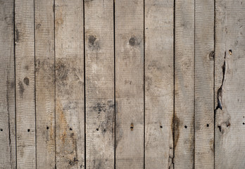 wood texture. background pattern