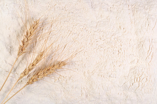 Ears of wheat on a white flour