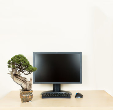 Small bonsai tree on plain office desk with monitor