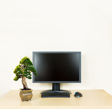 Small bonsai tree on plain office desk with monitor