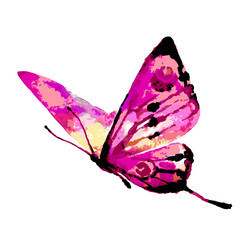 butterflies design