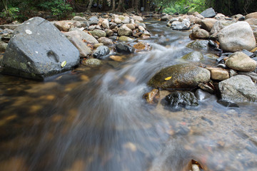 running of water stream from waterfall in tropical rain forest