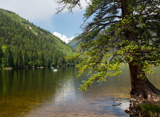 Cottonwood lake near Buena Vista Colorado