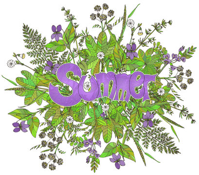 Graphic flowers and herbs with text Summer.