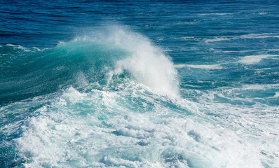 Frozen motion of large wave at sea