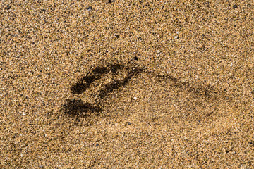 Single right foot print in sand