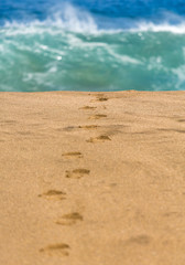 Sandy beach with footsteps to water