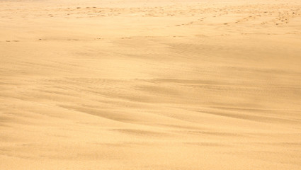 Sandy beach with footsteps in the distance