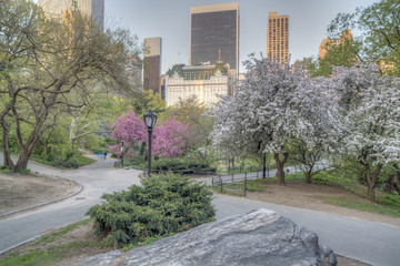 Central Park spring