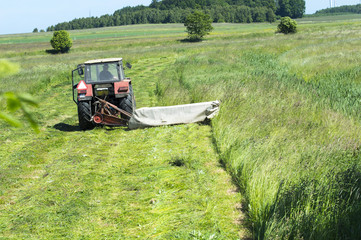 Obraz premium haymaking