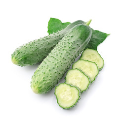 Cucumber